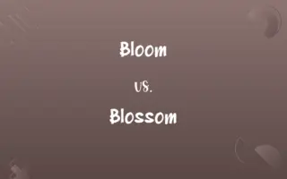 Bloom vs. Blossom