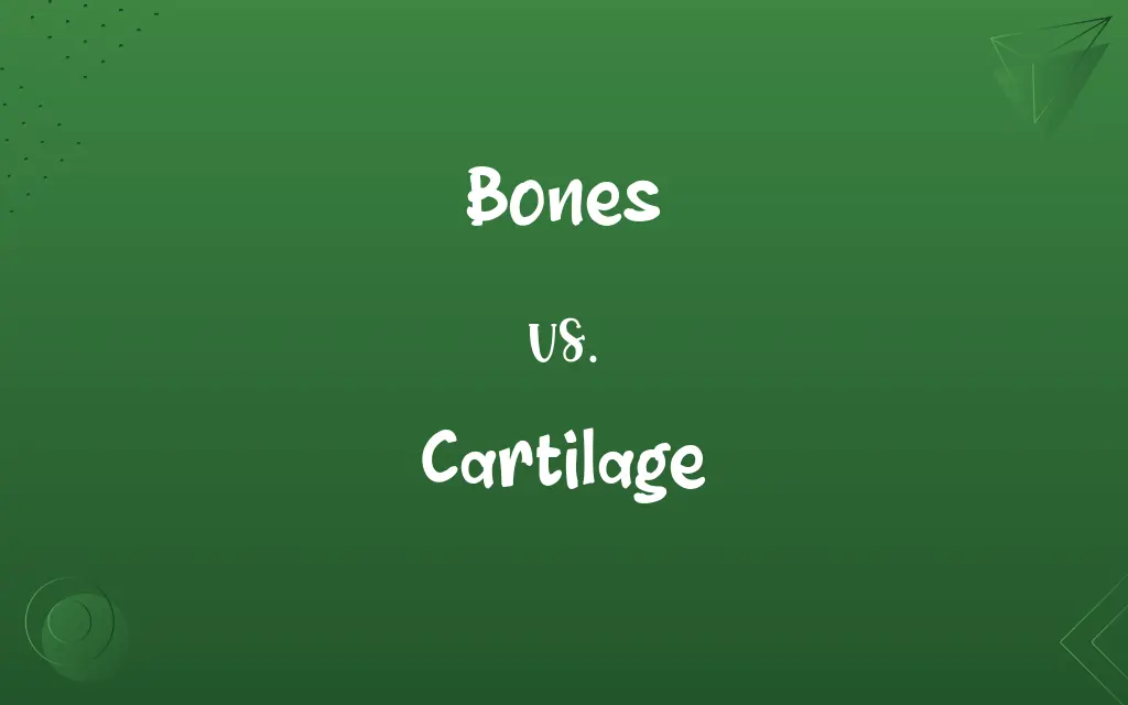Bones vs. Cartilage
