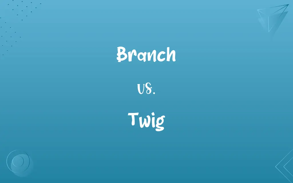 Branch vs. Twig