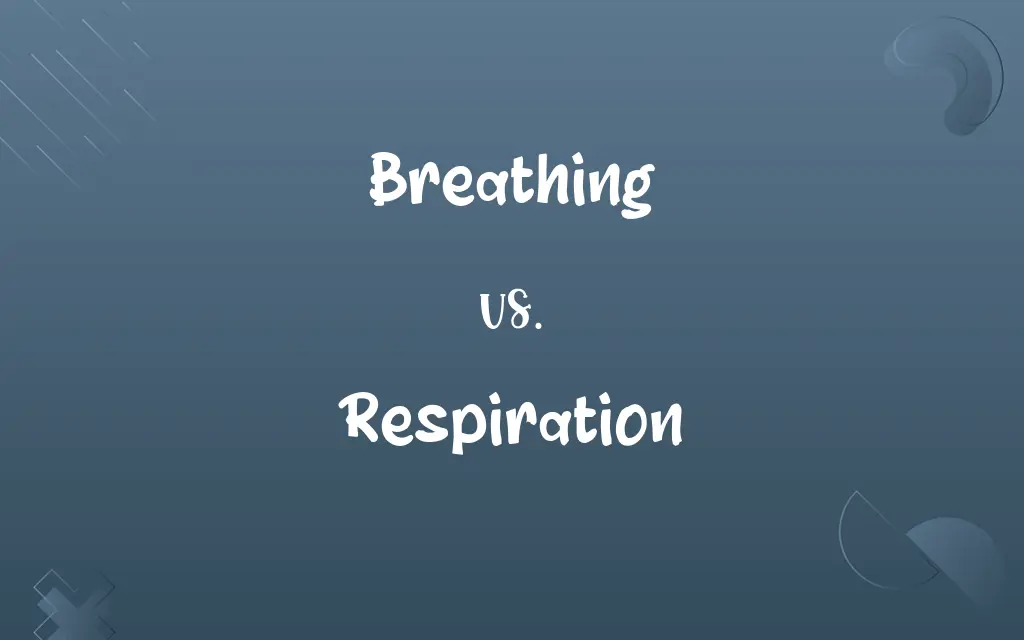 Breathing vs. Respiration