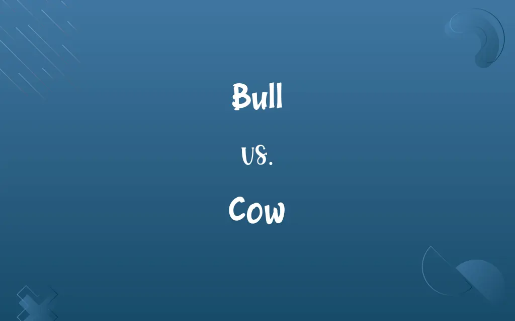 Bull vs. Cow
