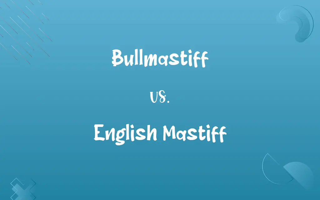 Bullmastiff vs. English Mastiff