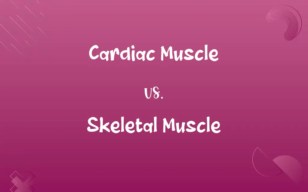 Cardiac Muscle vs. Skeletal Muscle