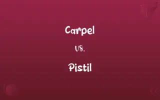 Carpel vs. Pistil