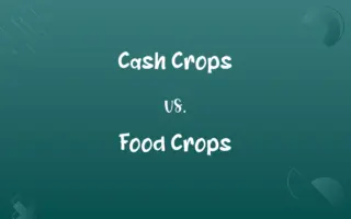 Cash Crops vs. Food Crops