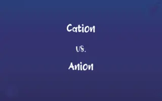 Cation vs. Anion