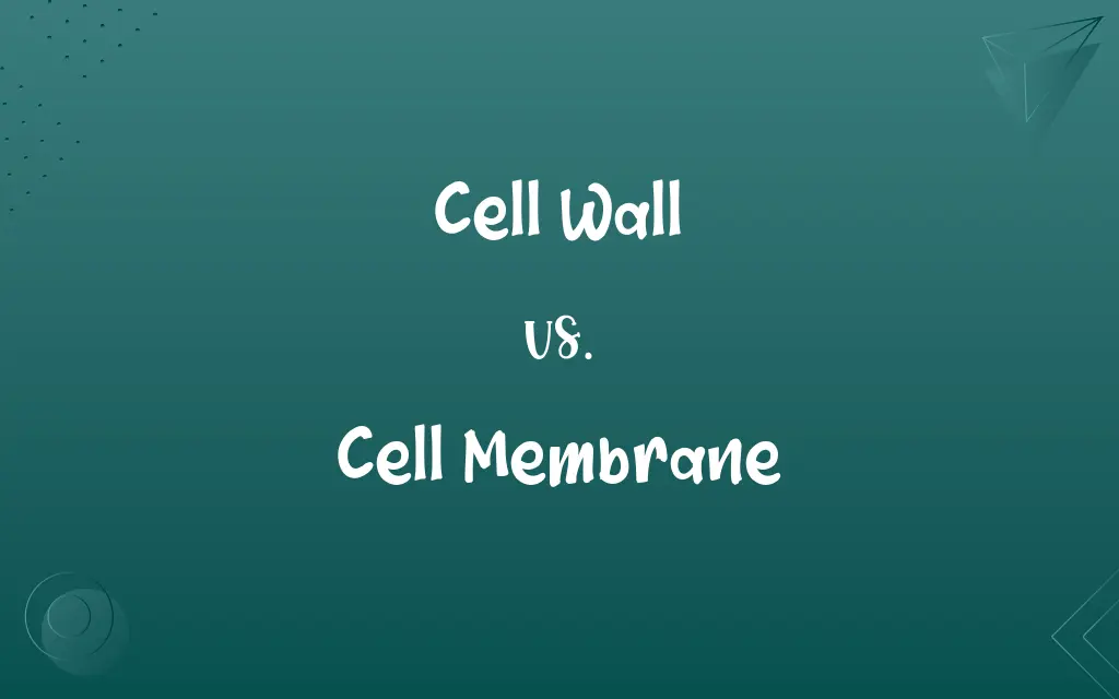 Cell Wall vs. Cell Membrane
