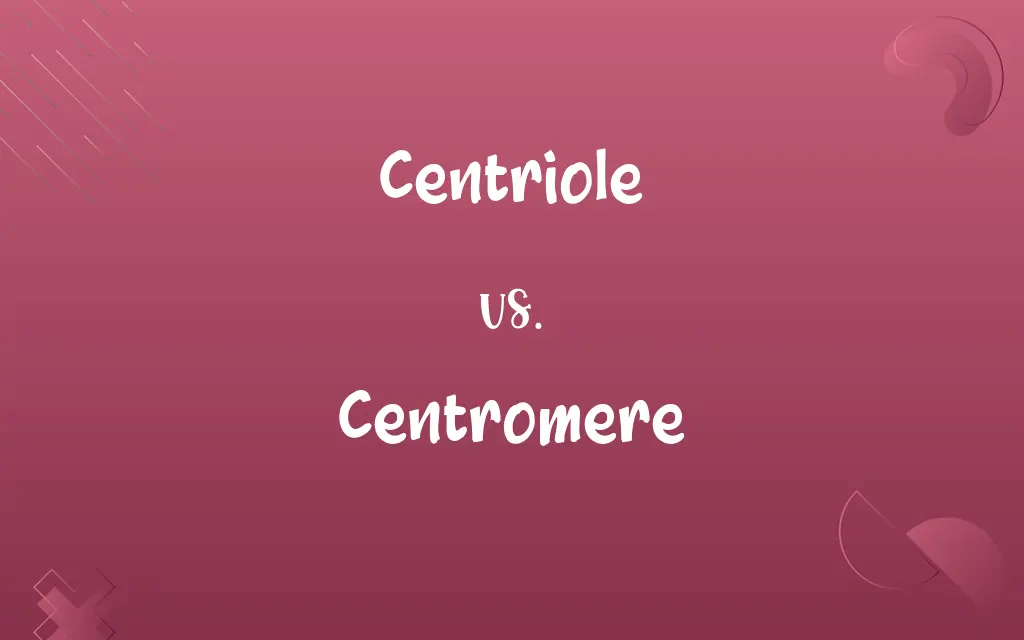 Centriole vs. Centromere