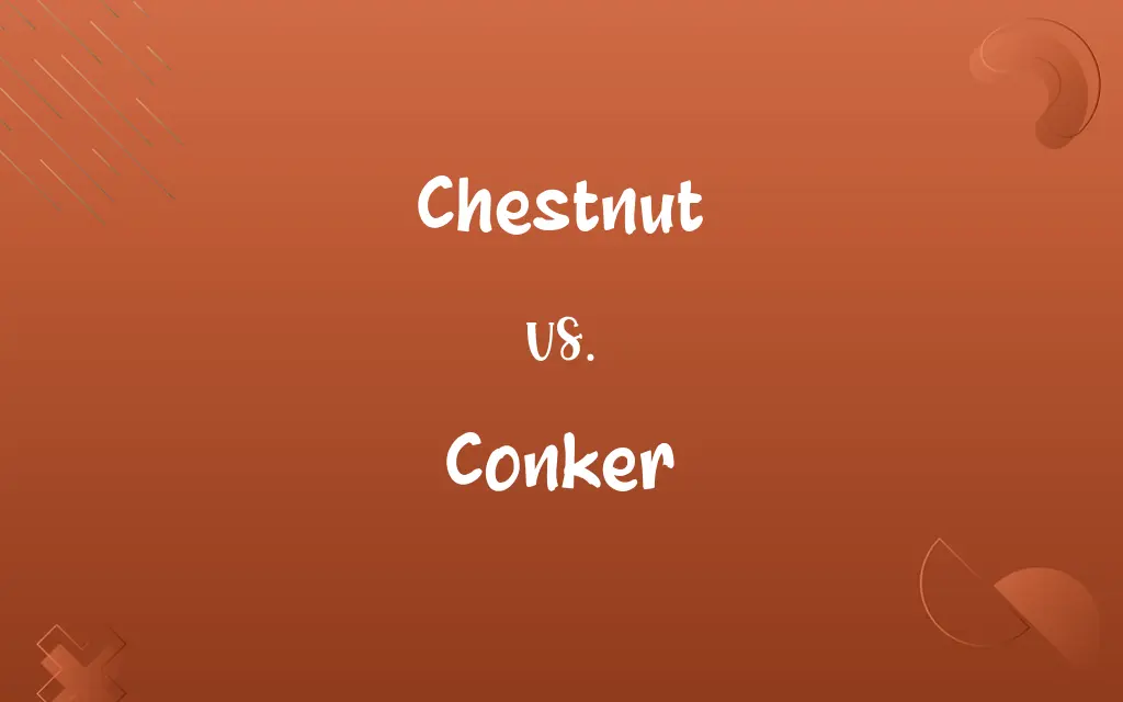 Chestnut vs. Conker