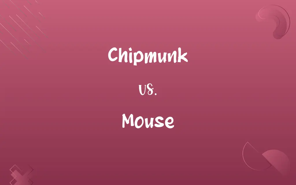 Chipmunk vs. Mouse