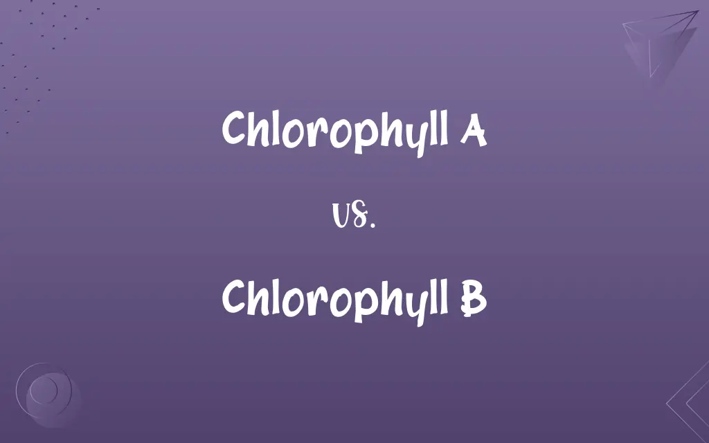Chlorophyll A vs. Chlorophyll B