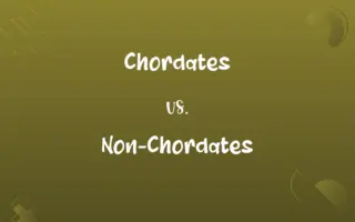 Chordates vs. Non-Chordates