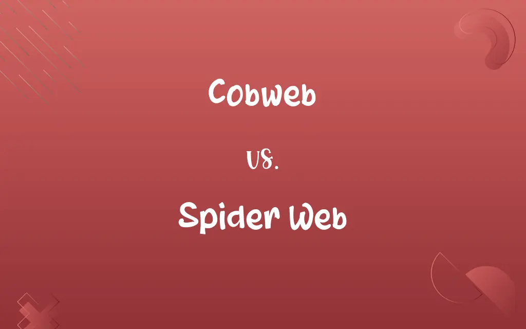 Cobweb vs. Spider Web