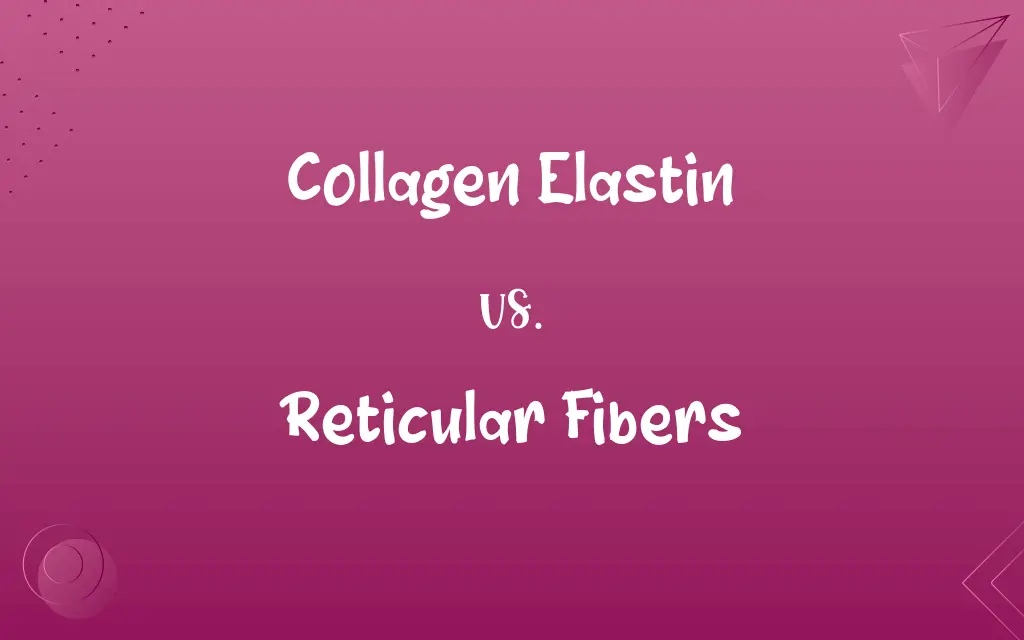 Collagen Elastin vs. Reticular Fibers