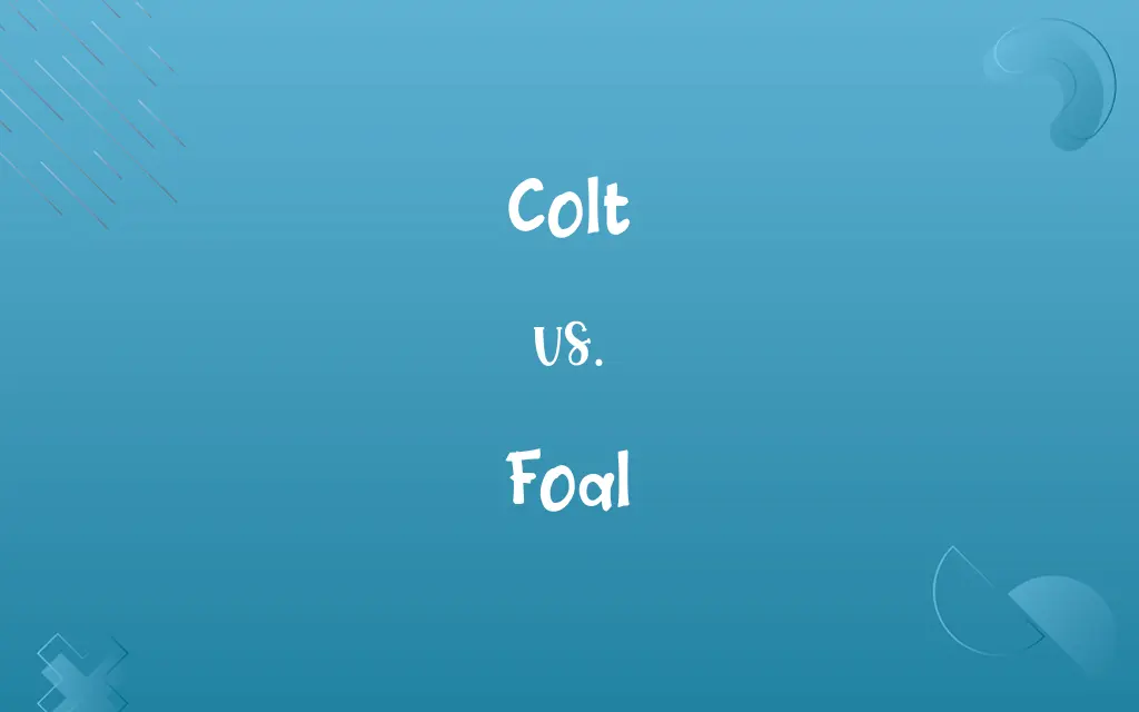 Colt vs. Foal