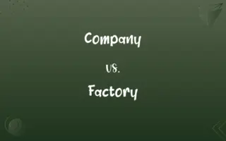 Company vs. Factory