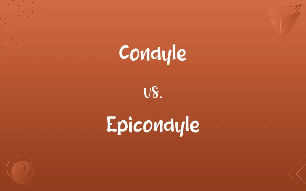 Condyle vs. Epicondyle