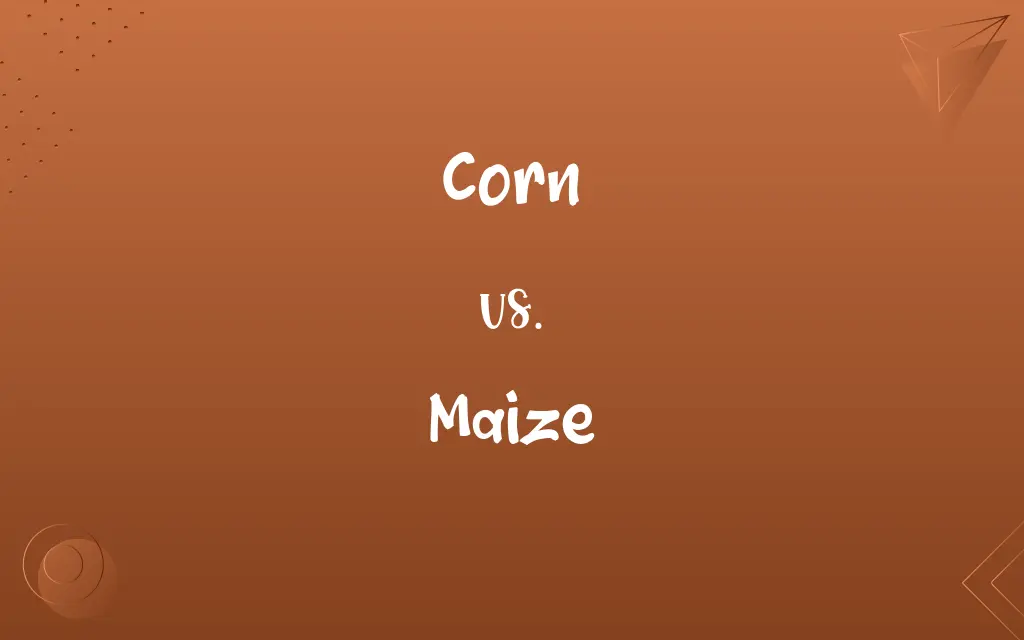 Corn vs. Maize