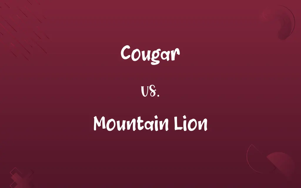 Cougar vs. Mountain Lion