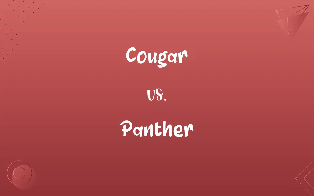 Cougar vs. Panther