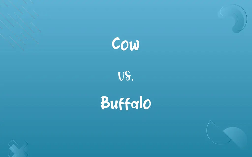 Cow vs. Buffalo