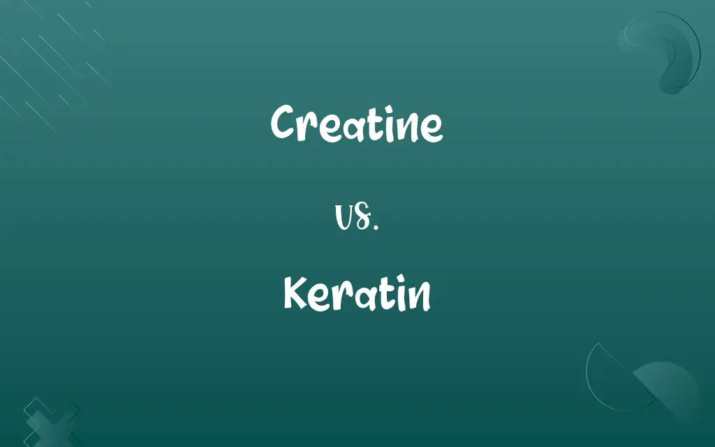 Creatine vs. Keratin