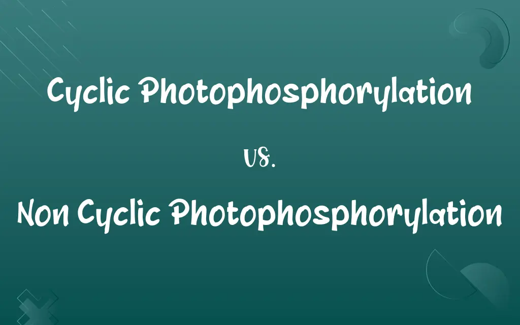 Cyclic Photophosphorylation vs. Non Cyclic Photophosphorylation