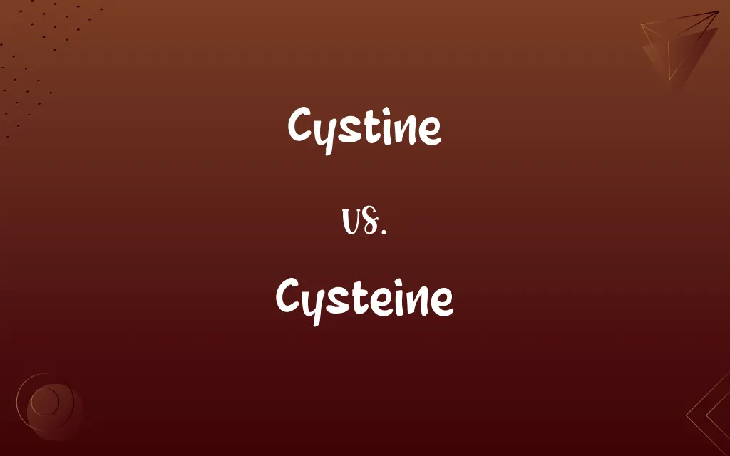 Cystine vs. Cysteine