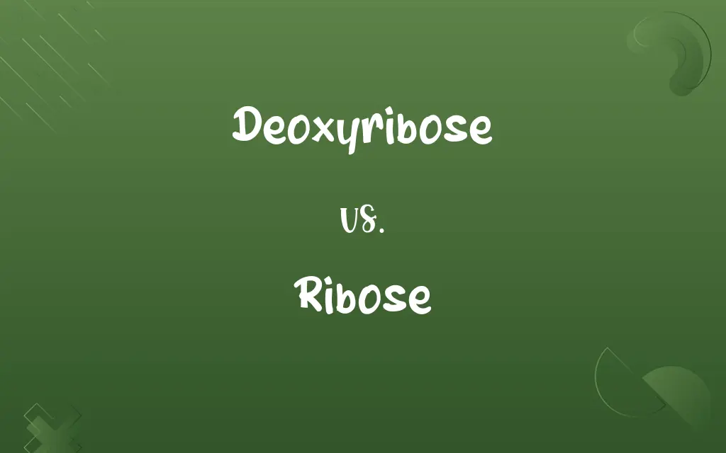 Deoxyribose vs. Ribose