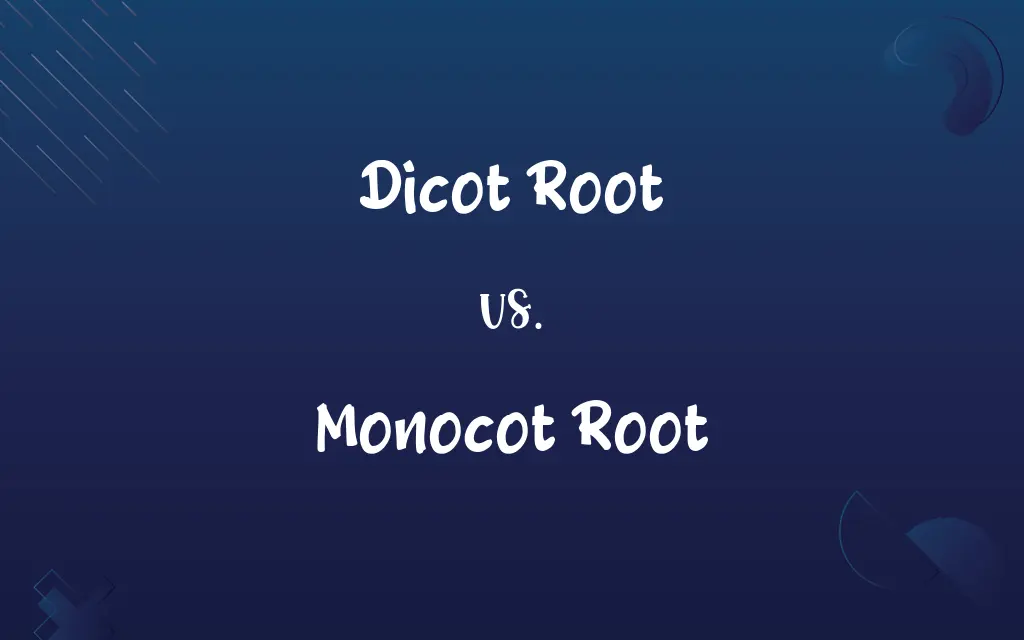 Dicot Root vs. Monocot Root