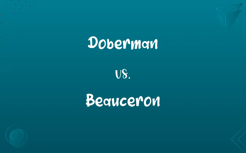 Doberman vs. Beauceron