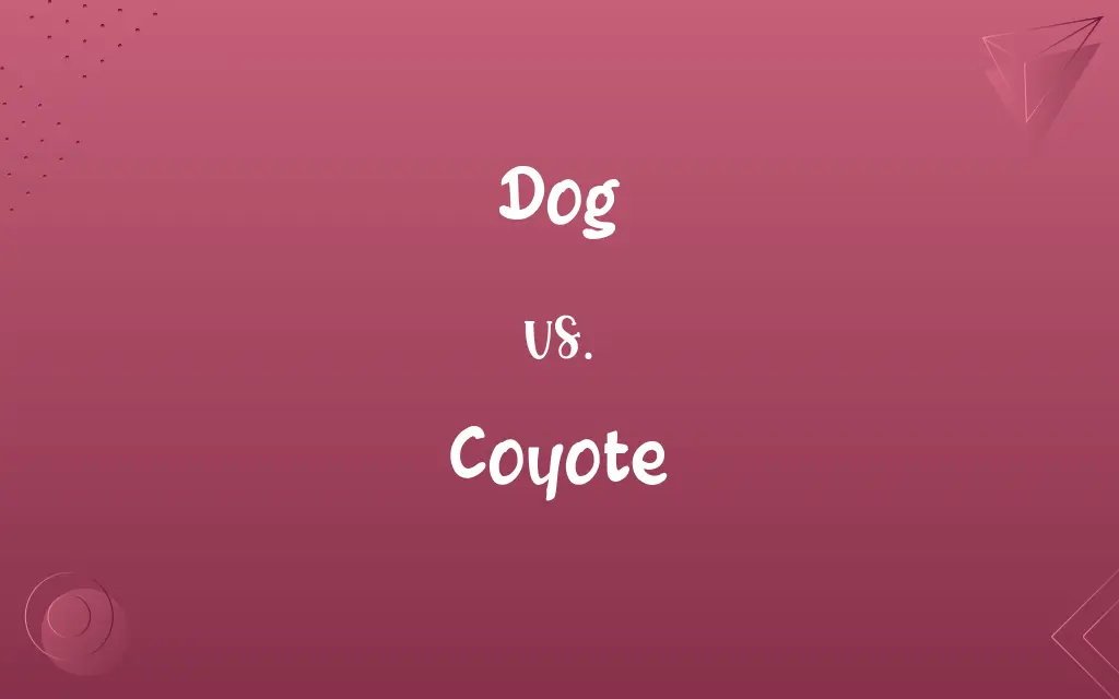 Dog vs. Coyote