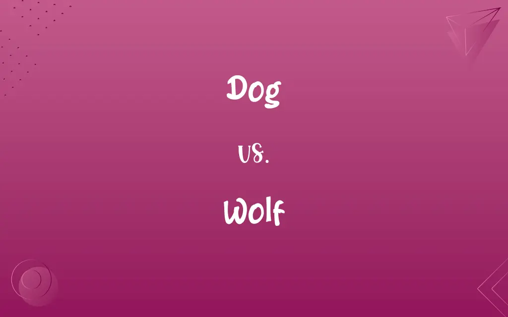 Dog vs. Wolf