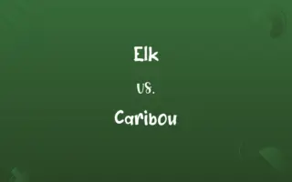 Elk vs. Caribou