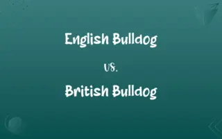 English Bulldog vs. British Bulldog