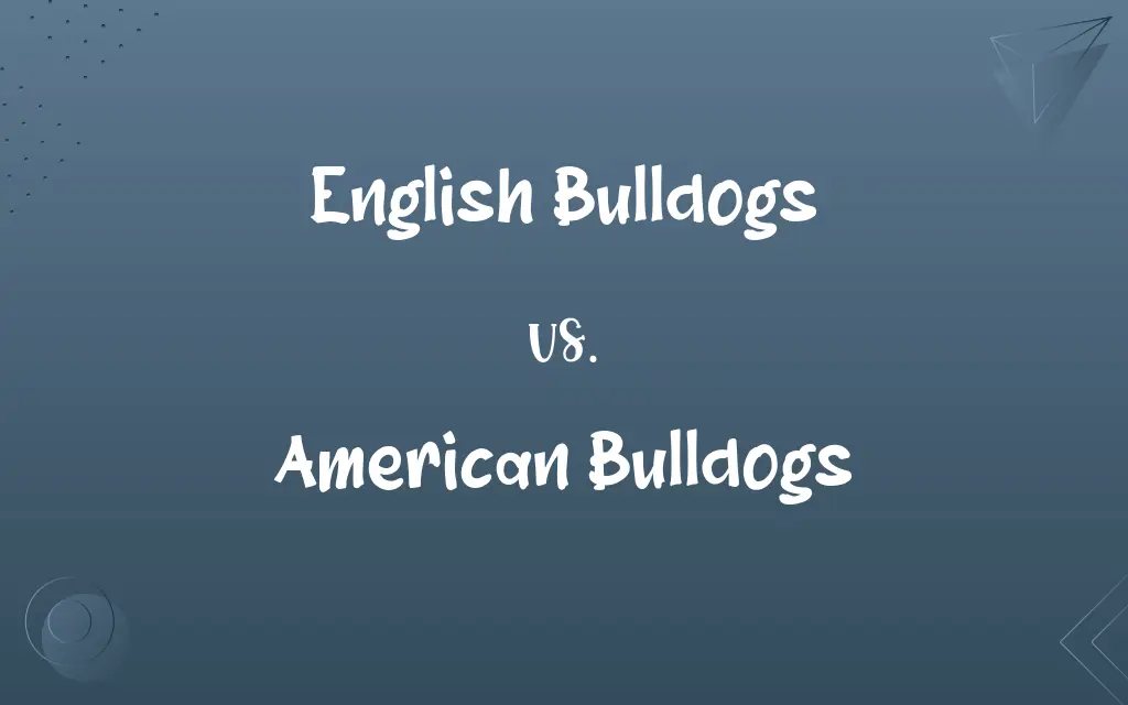 English Bulldogs vs. American Bulldogs