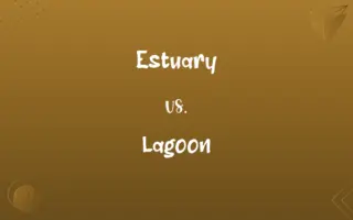 Estuary vs. Lagoon