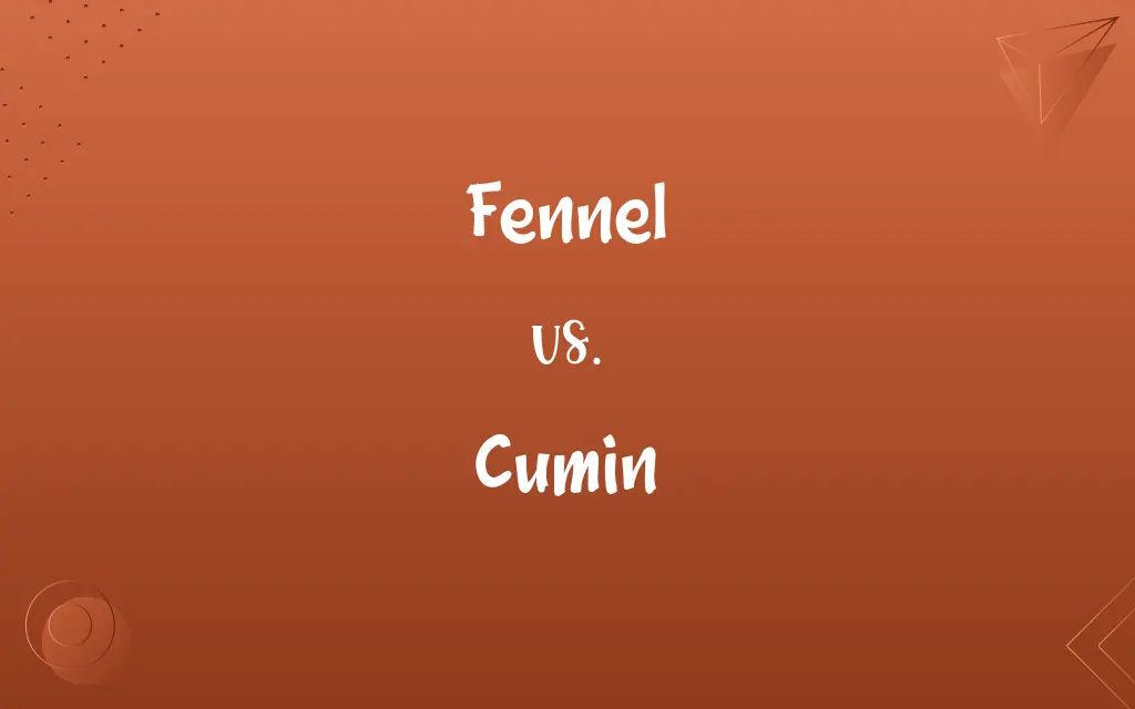 Fennel vs. Cumin