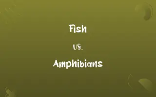 Fish vs. Amphibians