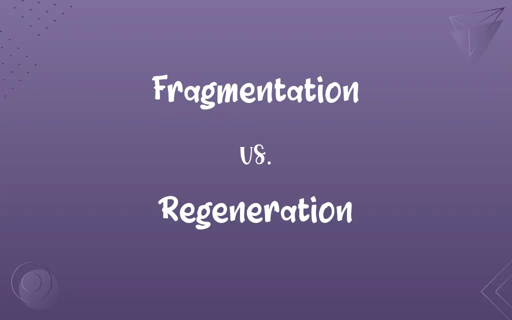 Fragmentation vs. Regeneration