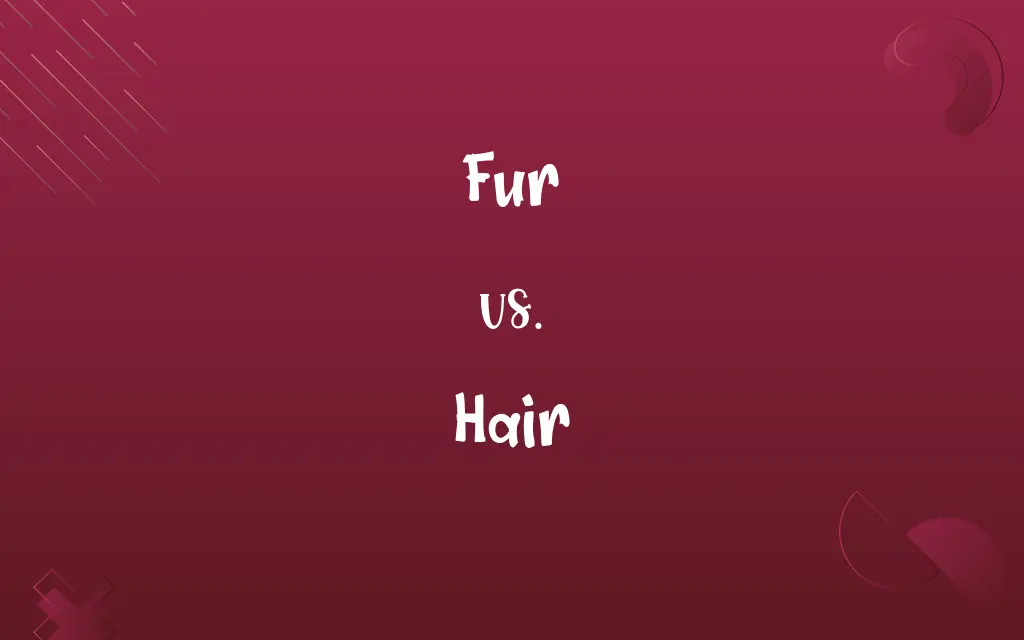 Fur vs. Hair