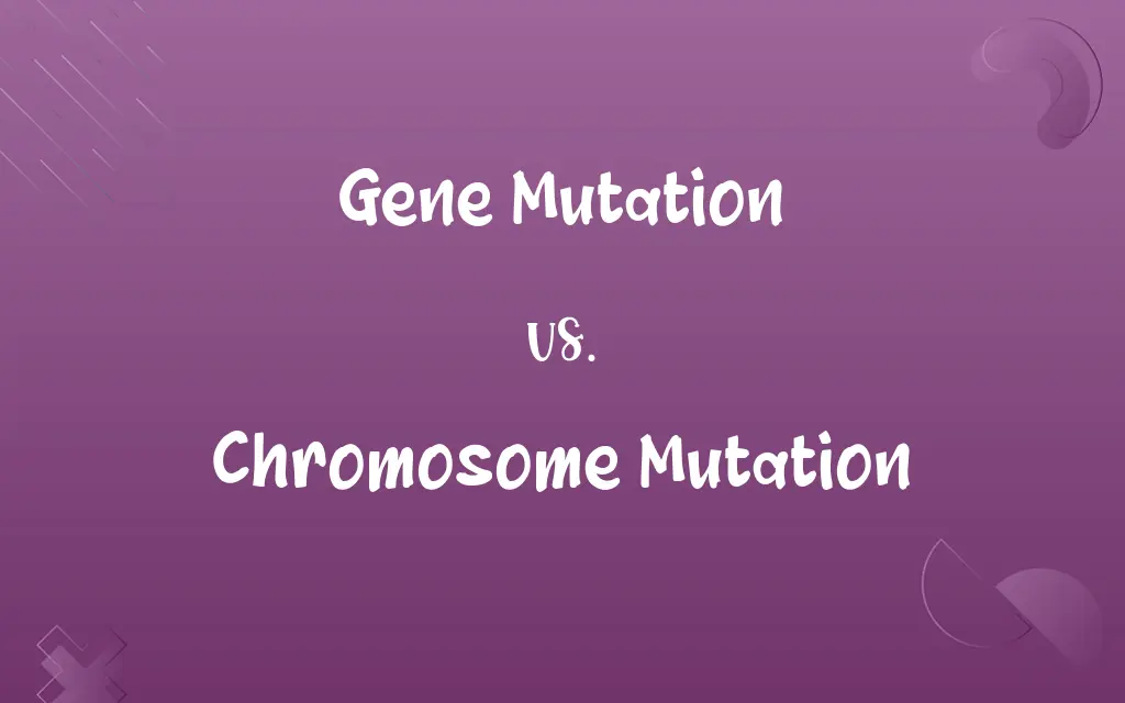 Gene Mutation vs. Chromosome Mutation