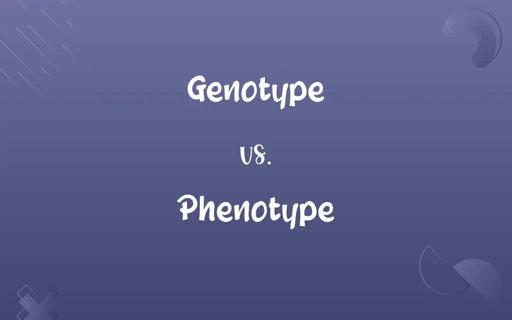 Genotype vs. Phenotype