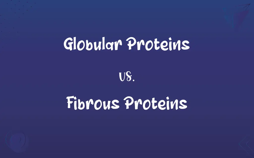 Globular Proteins vs. Fibrous Proteins