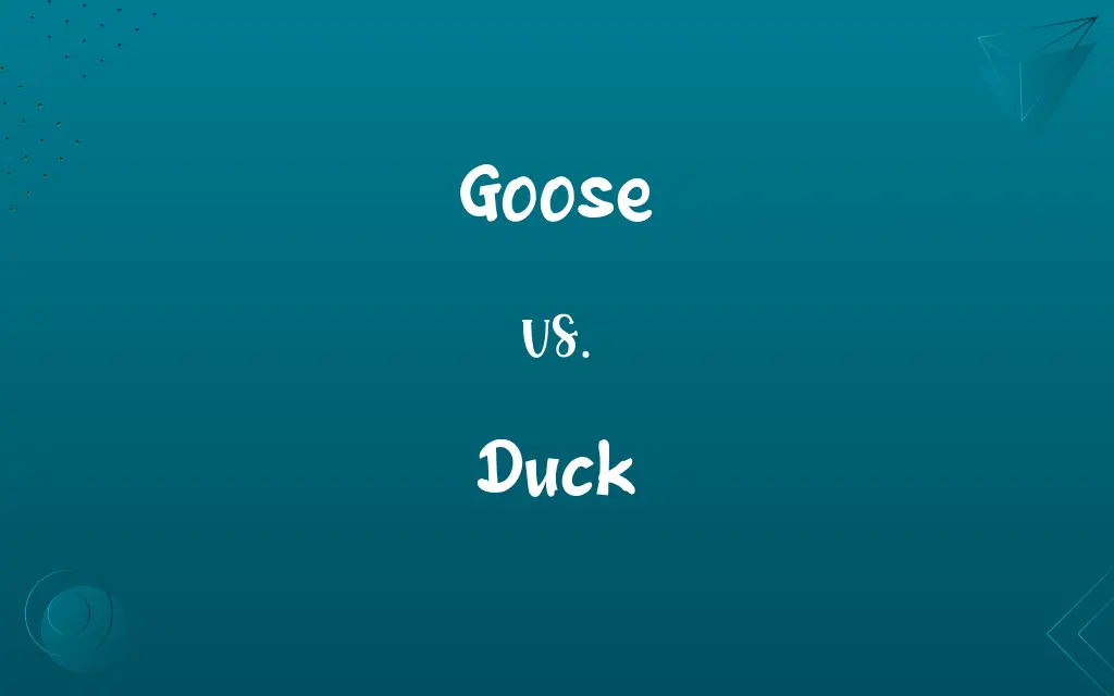 Goose vs. Duck