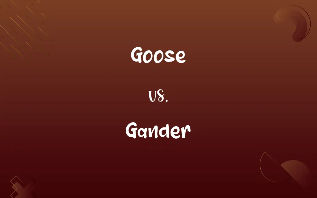 Goose vs. Gander