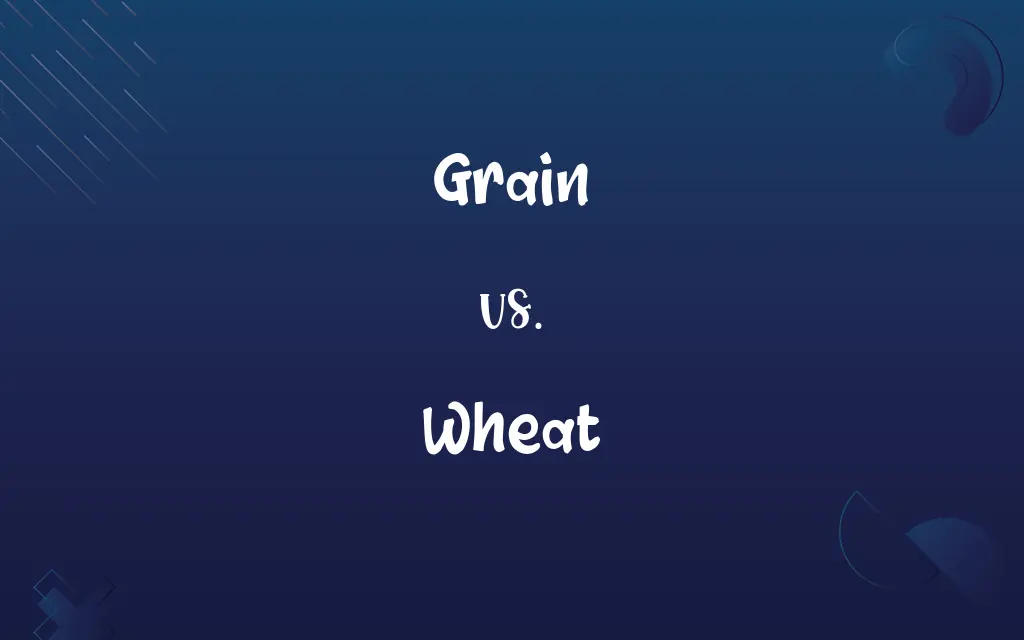 Grain vs. Wheat