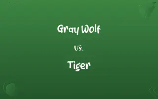 Gray Wolf vs. Tiger