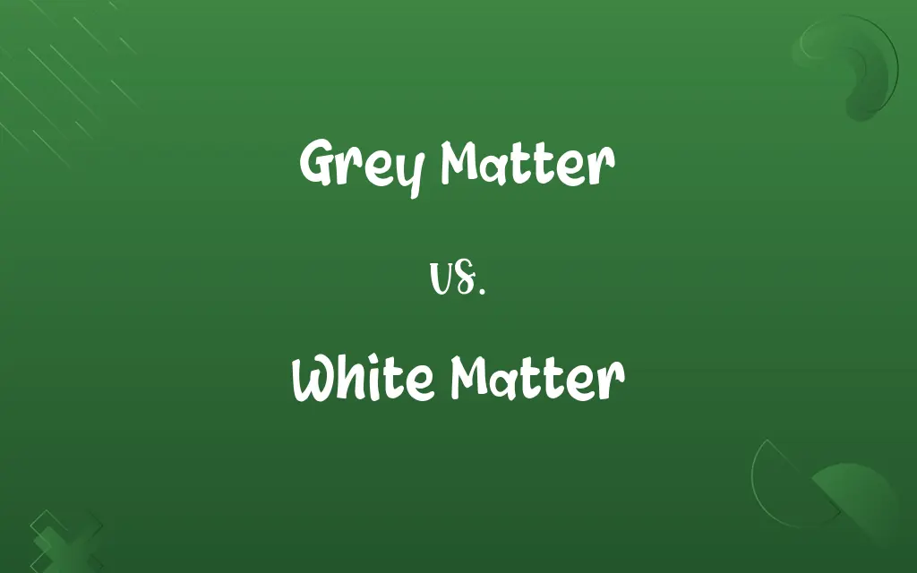 Grey Matter vs. White Matter