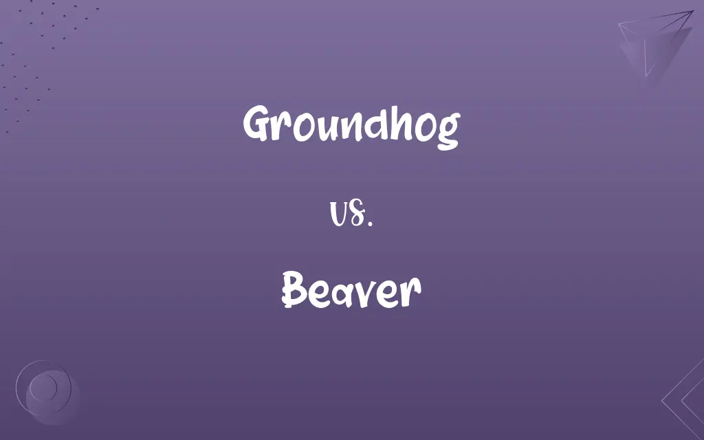 Groundhog vs. Beaver